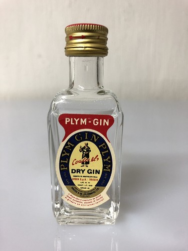 Mignon miniature stock plym - miniature,
