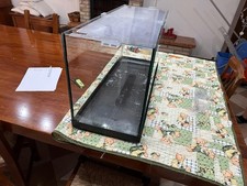 Acquario Acquari Filtrointerno Filtroesterno Caridine Pesciperacquario Pescitrop