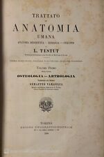 Trattato di anatomia umana