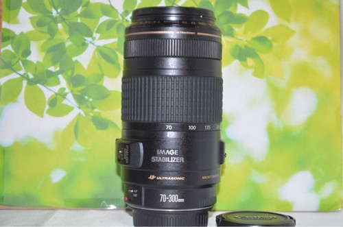 Canon 300 5 6 - ef, 70-300