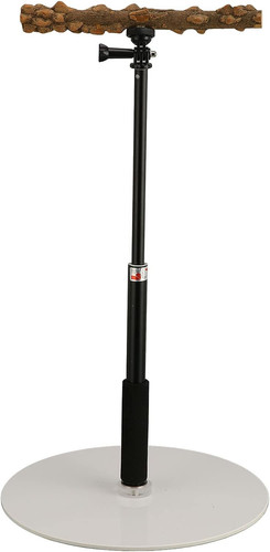 Peno stazione per pappagalli - peno,