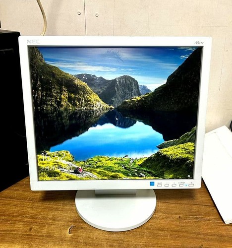 Monitor lcd nec - monitor, 17