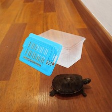  Gabbia Per Tartarughe Vasca