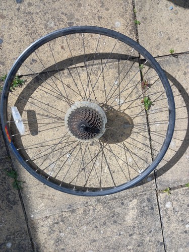 Ruota posteriore bici corsa - posteriore, da