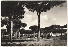 Scauri latina pineta - latina,