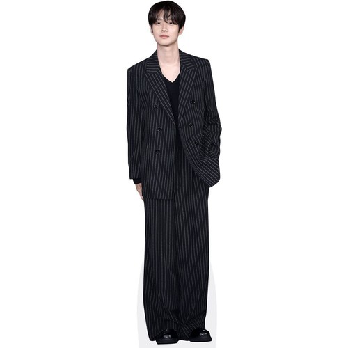 Choi woo shik mini - choi, woo-shik
