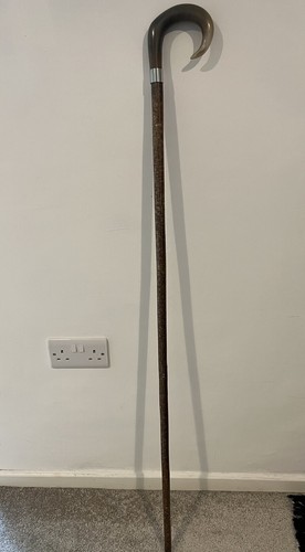 Corno mucca raro bastone - raro,