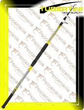 Canna Tubertini Surf Casting