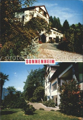 Monti locarno sonnenheim - monti,