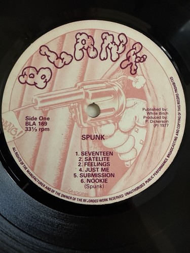 Sex pistols spunk lp - pistols,