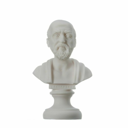 Busto statua alabastro - in,