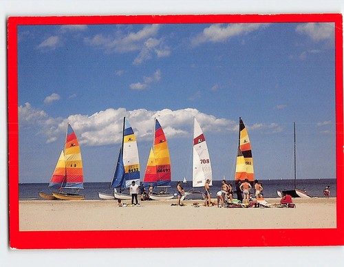 Cartolina catamarani pronti - cartolina,
