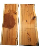 1 x tasso legno di tasso