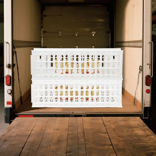 2pz gabbia trasporto pollo - gabbia,