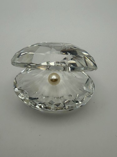 Conchiglia vongole ostriche - di,