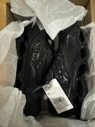 Mizuno wave prophecy triple - prophecy,