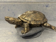 Statua Tartaruga Decorativa In Resina, Per Interni - Realistica E Resistente