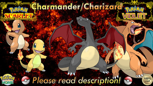 🍊Charmander/Charizard