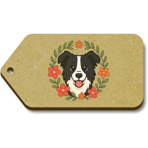 Border collie corona - collie,