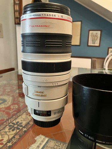 Canon 100 400mm 5 - 100-400mm, f/4.5-5.6