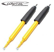 2 Ammortizzatori Sportivi