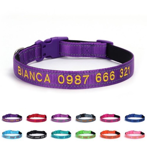Collare cane personalizzato