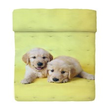 Trapunta Piumone invernale Bff