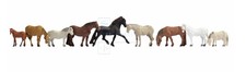 NOCH 15761 - Set cavalli come
