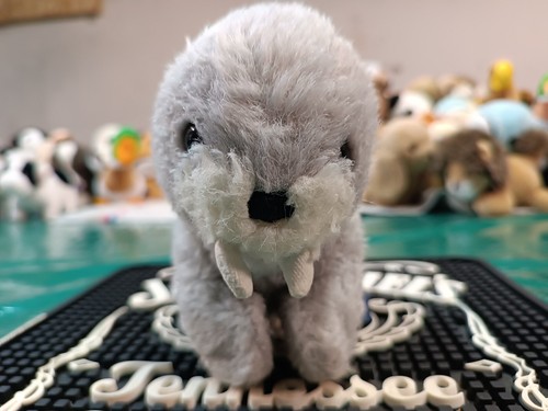 Trudi peluche original - peluche, vintage