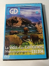 La vida IN los Spalaneve viaje