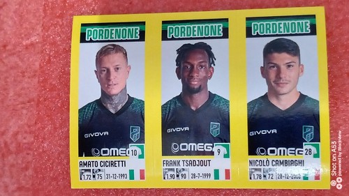 Figurine calciatori panini - figurine,