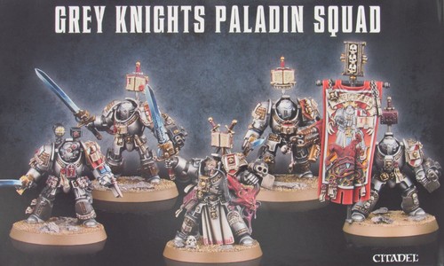 Paladin squad grey - grey, knights