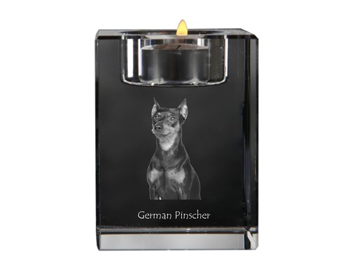 Pinscher tedesco - pinscher,