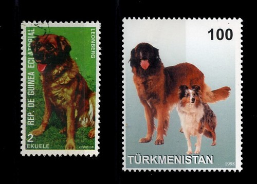 Leonberger leon berger dog - berger,