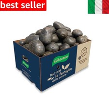 Patate RUGGIERO Viola per "PIATTI GOURMET" 10 kg
