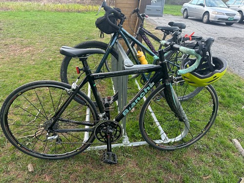 Bianchi dama valentina 49cm - bianchi,
