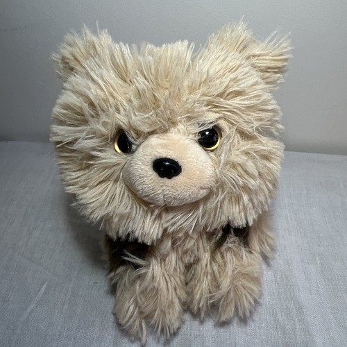 Russ petooties pets yorkshire - russ,