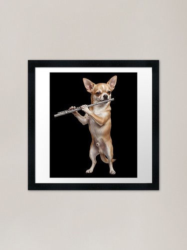Chihuahua suonatore flauto - chihuahua, di