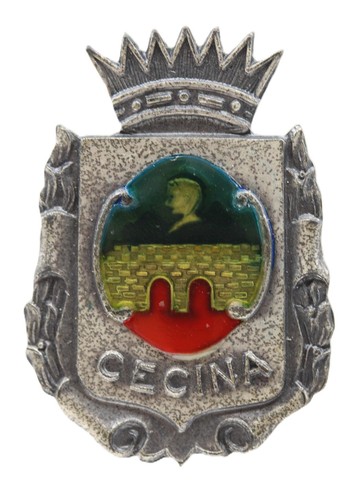 Distintivo polizia locale - distintivo,