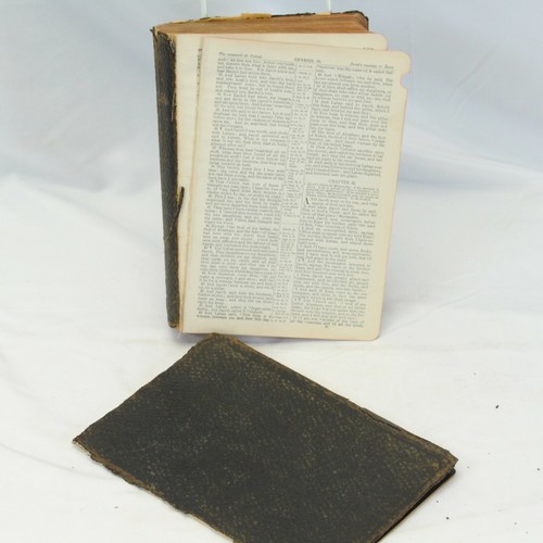 Holy bible 1900 international - holy,