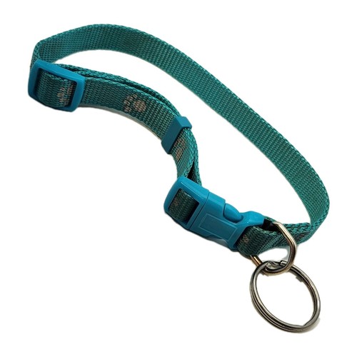 Collare per cani turchese - per,
