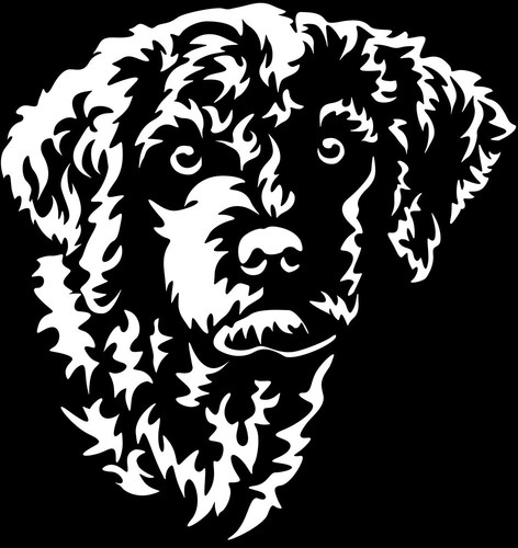 Adesivo lagotto romagnolo - adesivo,
