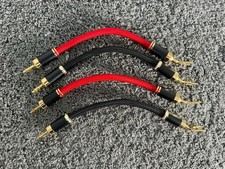 Gauder Acustica Clearwater