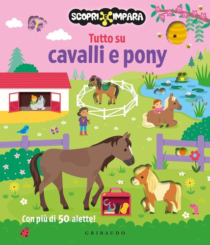 Libri tutto cavalli pony - tutto,