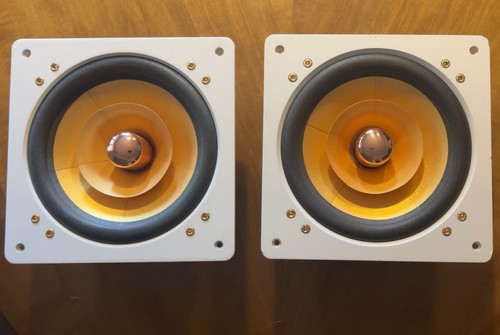 Altoparlante audio driver