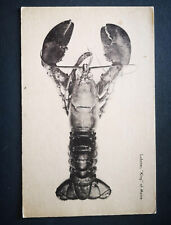 LOBSTER - KING OF MAINE - STATI UNITI D'AMERICA -  USA - VIAGGIATA 1948 - 2592
