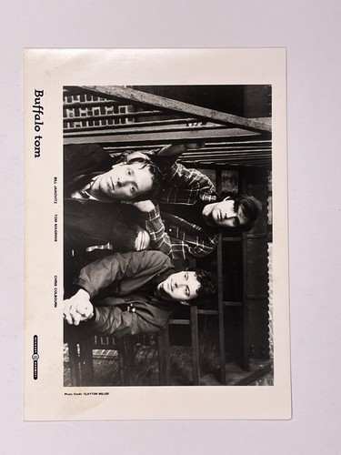Foto buffalo tom - buffalo,