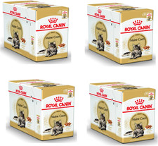 Maine Coon Adult | Confezione