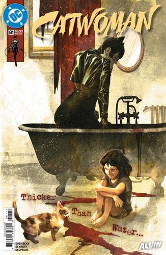 Catwoman dc comics - catwoman,
