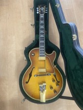 Chitarra elettrica acustica